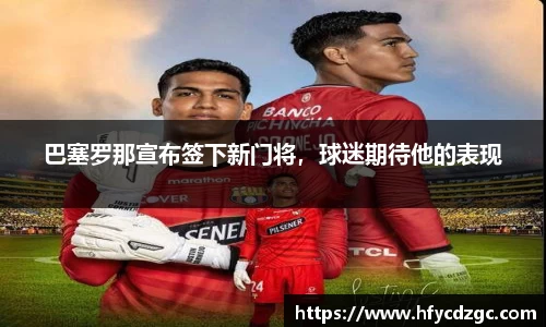 yy易游体育官网