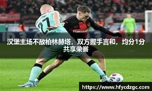 yy易游体育官网