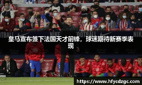 yy易游体育官网